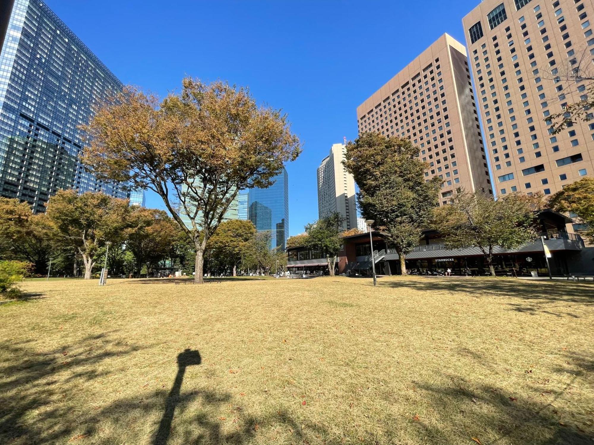 Max4people Shinjuku 7minutes Shibuya12 Minutes 5minutes Walk From Hatsudai Station Leon Shibuya * Tōkyō