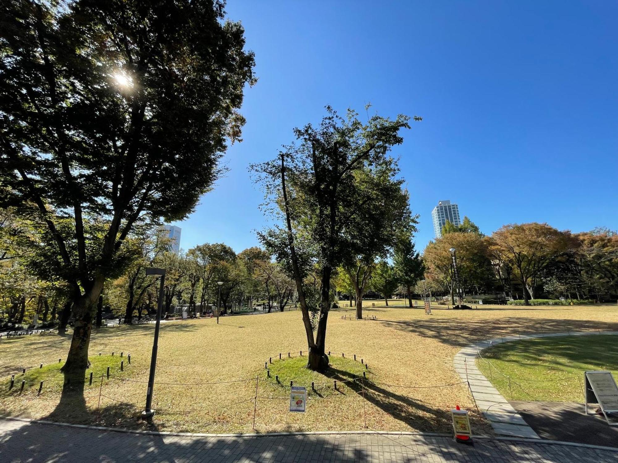 Max4people Shinjuku 7minutes Shibuya12 Minutes 5minutes Walk From Hatsudai Station Leon Shibuya Appartement *